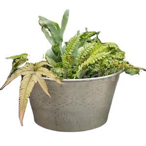 การออกแบบที่ไม่ซ้ําคุณภาพสูงสุดชาวไร่ถังโลหะตกแต่งในร่มและกลางแจ้งของอินเดียสําหรับตกแต่งบ้าน - Product Image 1