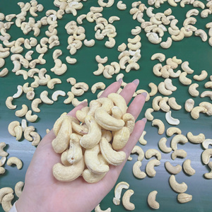 SANTIGO Cashew <b>Kernel</b> <b>Nuts</b> WW240 Grade Binh Phuoc Vietnam Raw Dried OEM Packaging Available - Product Image 1
