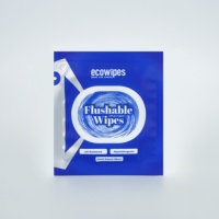 Lingettes jetables individuelles pour adultes, lingettes pour les fesses, pratiques pour les déplacements - Lingettes miniatures portables