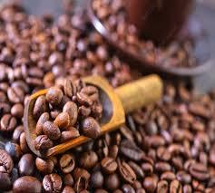 เมล็ดกาแฟอาราบิก้าอินเดียคั่วเต็มเมล็ด รสชาติสมดุล ความเปรี้ยวพอเหมาะ ออร์แกนิค พรีเมียม เกรดส่งออก คั่วอ่อน สำหรับร้านกาแฟและการส่งออก - Product Image 2