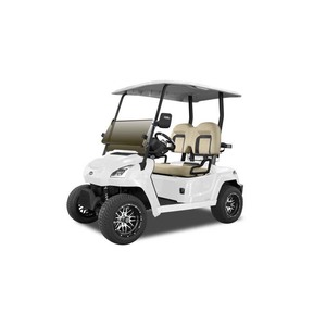 Carrito de Golf de Alta Velocidad con Suspensión Avanzada y Conducción Suave - Product Image 1