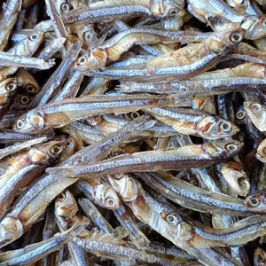 Anchois séchés pour soupes, bouillons et recettes traditionnelles Anchois séchés en vrac pour la distribution en gros - Product Image 3