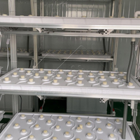 Grandes tables mobiles en alliage d'aluminium pour hydroponie, système d'irrigation par flux et reflux avec minuterie automatique pour l'irrigation des racines de laitue et de basilic