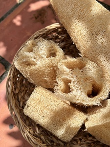 Épurateur de luffa naturel écologique 10-12cm prix bon marché/luffa de culture biologique du Vietnam pour éponge de cuisine et de salle de bain - Product Image 6