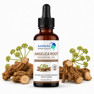 Huile Essentielle de Racine d'Angélique 100% Pure et Naturelle pour l'Aromathérapie, les Massages, les Spas, les Diffuseurs, les Mélanges de Parfums Herbacés, Fournisseur en Gros OEM - Product Image 1