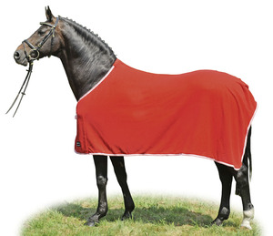 Couverture en polaire pour chevaux, couverture rafraîchissante en polaire, couverture de voyage pour chevaux, utilisation quotidienne - Product Image 1