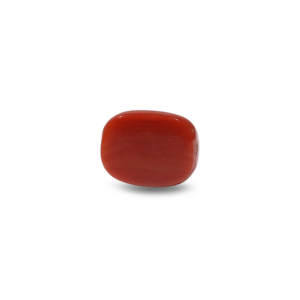 Natural Red Coral Oval Cabochon Loose Gemstone-14.15 Carat Certified Wholesale 3mm Height - Product Image 2