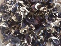 Tranches de champignons noirs séchés pour garnitures de ramen et plats sautés, aliments riches en fibres et sains