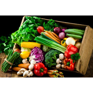 Vegetales Frescos de Alta Demanda para Exportación Global, Venta al por Mayor y Suministro a la Industria Alimentaria - Product Image 2