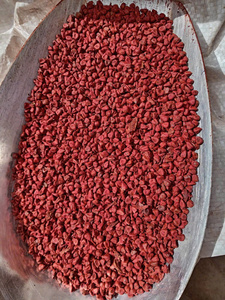 Graines d'annatto séchées de qualité supérieure, à forte teneur en pigments, épice rouge naturelle pour supermarchés internationaux et partenaires de vente au détail – Approvisionnement en gros - Product Image 2