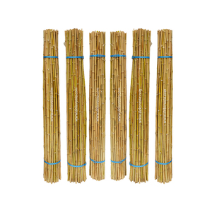 Estacas de Soporte para Plantas de Bambú Cendani Natural, Ecológicas, Duraderas, Hermosas, Secas y Rectas (Tamaño Personalizado) - Product Image 1