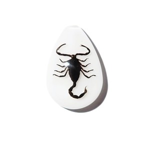 Cabochon Black Scorpion Pear Shape cut <b>top</b> 25x17 mm White Flat Bottom for Crafts and Jewelry Making - Product Image 6