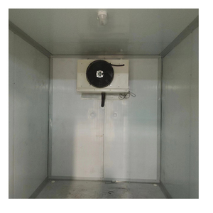 Unité de stockage frigorifique mobile |   Chambre froide compacte et congélateur pour restaurants et supermarchés - Product Image 4