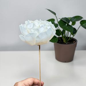 VADEE Craft Fleurs artisanales durables en bois de Sola, couleur crème vintage, taille 8,5 cm, avec tige en fibre de plantes de Sesbania Phra - Product Image 6