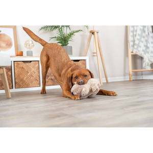 Juguete Interactivo de Peluche de Koala de 25 cm con Movimiento - Product Image 4