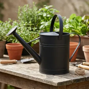 Fontaine de jardin en métal noir avec long bec verseur, design moderne, écologique, installation sur table pour usage extérieur en jardin - Product Image 2