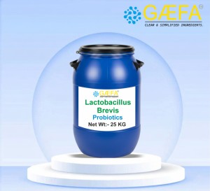 Lactobacillus Brevis en Polvo Liofilizado de Grado Alimenticio - Product Image 1