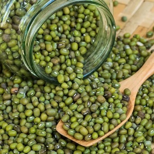 Organic Dried 3.8mm Big Size Vigna <b>Beans</b> Mung Dal High Quality Sprouting Green Mung <b>Beans</b> 25kg Bulk Wholesale - Product Image 6
