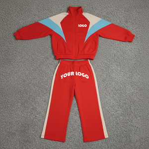 Custom 100% Cotton Winter Tracksuit for Men Hooded Printed <b>Reflective</b> Luxury Two Colors Windbreaker with Custom Logo - Product Image 1