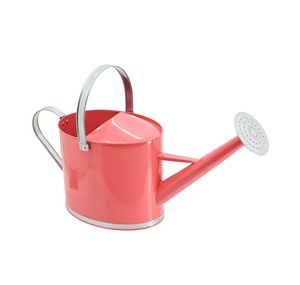 Arrosoir en zinc galvanisé avec long bec pour le jardinage, finition durable, arrosoir de jardin en métal, arrosoir à long bec - Product Image 6