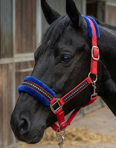 HM GLOBAL Harnais équestre pour cheval, en polaire durable de qualité supérieure, rembourré en nylon PP, réglable, avec boucles en acier, pour Cob et Cheval de taille haute, haute qualité - Product Image 3