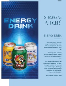 Bebida Energética de Marca Privada, Lata de Aluminio de 500 ml, Precio Económico, MOQ Bajo, de un Fabricante Vietnamita Líder, ODM/OEM - Product Image 6