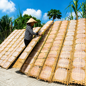 Best Price Spicy Dried Rice <b>Paper</b> for <b>Spring</b> <b>Rolls</b> 16cm/18cm/22cm/31cm/32cm Box Packaging Children Friendly Vietnam/ Ms. Alina - Product Image 2