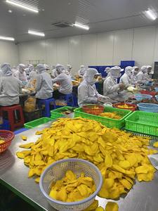 Mango Seco Suave de Primera Calidad – Rebanadas de Mango Dulce Natural al por Mayor - Product Image 5