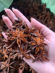 Anís estrellado de nueva cosecha de Vietnam, calidad premium para otoño y primavera, especias alimenticias especiales, precio de fábrica, cantidad a granel - Product Image 5