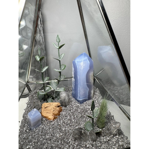 Hot Selling Reasonable Price <b>Clear</b> Glass Modern Luxury Black Terrarium With Brass Border New Arrival Terrarium for Home Decorate - Product Image 3