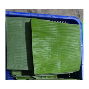 Feuilles de bananier congelées écologiques comme alternative durable aux emballages alimentaires pour les restaurants, les fabricants de produits alimentaires et les aliments biologiques - Product Image 1