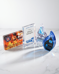 Exceptional Customizable Elegant Acrylic Bronze Awards Lasting Tribute Outstanding Achievements <b>Trophies</b> Medals <b>Plaques</b> - Product Image 6