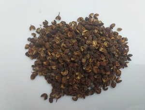 Poivre indien du Sikkim et du Sichuan biologique, cru et séché, très aromatique, épice anesthésiante, qualité export - Product Image 2
