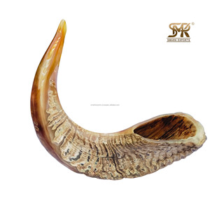 Shofar de cuerno de carnero natural pulido Shofar único para festivales Reuniones religiosas Ceremonias espirituales Prácticas culturales - Product Image 5