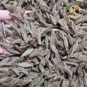 Bois d'Aquilaria Tigre Vietnamien HUFA OUD HP-TO2 Authentique 100% Naturel Sans Produits Chimiques Toutes Saisons - Product Image 4