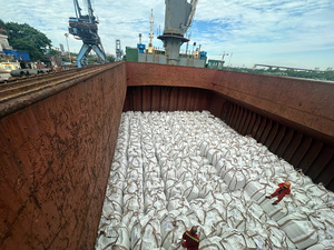Urea Perlada N46 en Bolsas de 50kg y 1000kg, 100% Pura, Fertilizante Nitrogenado de Liberación Rápida para Uso Agrícola e Industrial, Original de Vietnam - Product Image 6