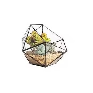 Designer Metal Terrarium Glass Plant Display Box Elegant Geometric Indoor Garden Home Decoration - Product Image 3