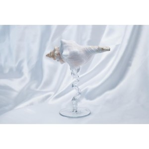 Fabriqué à partir de verre transparent de haute qualité et orné de détails inspirés des coquillages pour un attrait décoratif raffiné et une brillance durable. - Product Image 3