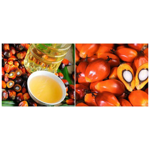 น้ำมันปาล์มบริสุทธิ์ 100% น้ำมันปาล์มสำหรับปรุงอาหาร น้ำมันสำหรับประกอบอาหาร ราคาถูก ขายส่ง - Product Image 3