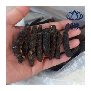 หอยเป๋าฮื้อทั้งตัว เกรดพรีเมียม บรรจุภัณฑ์แบบแพ็คใหญ่ อาหารทะเลคุณค่าทางโภชนาการ - Product Image 3