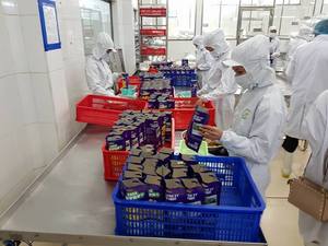 Venta al por mayor de patatas fritas de Jaca secas, Aperitivos crujientes, crujientes, proceso de secado VF, sin OMG, sin azúcar, alta calidad, apto para veganos - Product Image 5