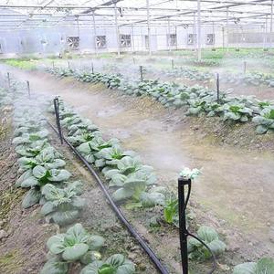 Système d'irrigation par brumisation Watersun, buse de pulvérisation croisée en plastique, micro-asperseur suspendu pour serre, 360° - Product Image 5