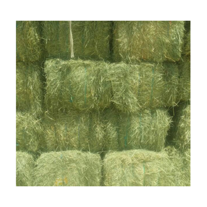 Aliments pour animaux séchés à l'herbe de Rhodes de qualité supérieure du Pakistan emballés dans des balles pour la consommation de porcs bovins chevaux - Product Image 2