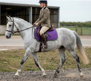 Almohadilla para Silla de Montar de Doma Clásica |   Manta de Silla de Montar Cuadrada Acolchada para Equitación |   Almohadilla Transpirable para Montar a Caballo, Venta al Por Mayor OEM - Product Image 2