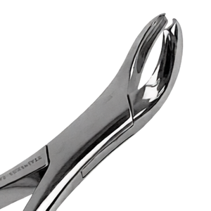 คีมถอนฟัน TC Dental # เครื่องมือทันตกรรมมืออาชีพแบบแมนนวล ทำจากเหล็กกล้าไร้สนิม สำหรับฟันกรามล่าง 17 ซี่ ด้ามจับตามหลักสรีรศาสตร์ - Product Image 4