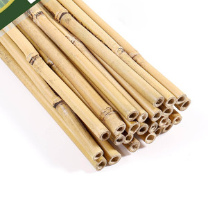 Natural bamboo sticks for <b>gardening</b> eco-friendly poles raw <b>cane</b> stake crafts making materials - Product Image 1