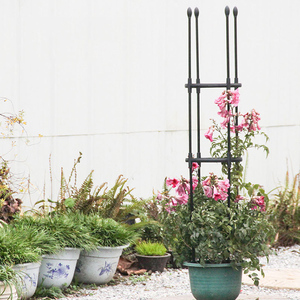 Soporte de Metal para Tomates, Recubierto de Plástico, para Plantas Trepadoras - Product Image 4