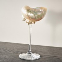 Verres à vin en verre et coquillages marins très demandés, parfaits pour les dîners en intérieur et les occasions de réceptions en extérieur.