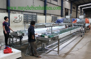 Modular Automatic Cashew Kernel Sorting Line | 1000kg Capacity for Roasted Cashews - Product Image 4