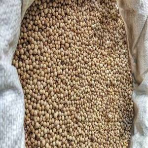 Pimienta blanca entera india de Gujarat, especias naturales, 24 meses de duración, para proveedores mayoristas de condimentos gourmet - Product Image 5
